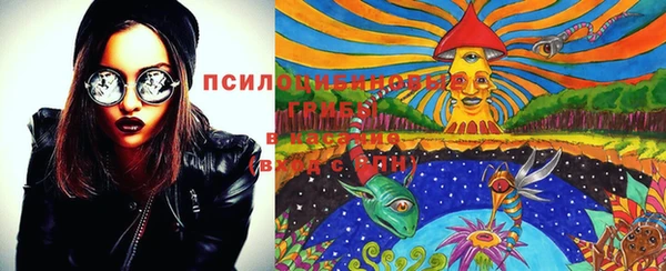 mdma Абаза