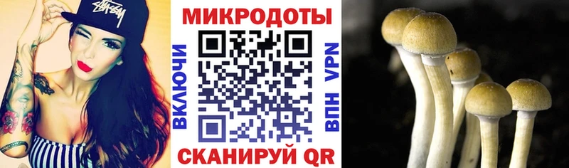 купить наркотик  Лангепас  Псилоцибиновые грибы MAGIC MUSHROOMS 